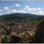 Waldkirch-Panorama