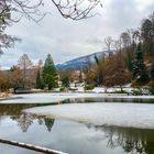 Waldkirch Stadtrainsee