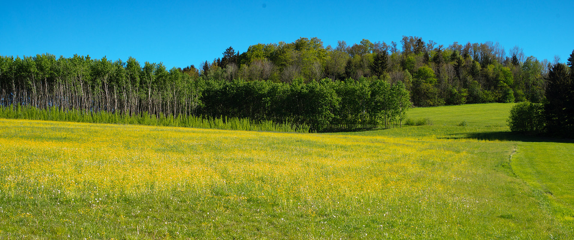 Waldkirchen, Bayr. Wald ... 1 Kopie