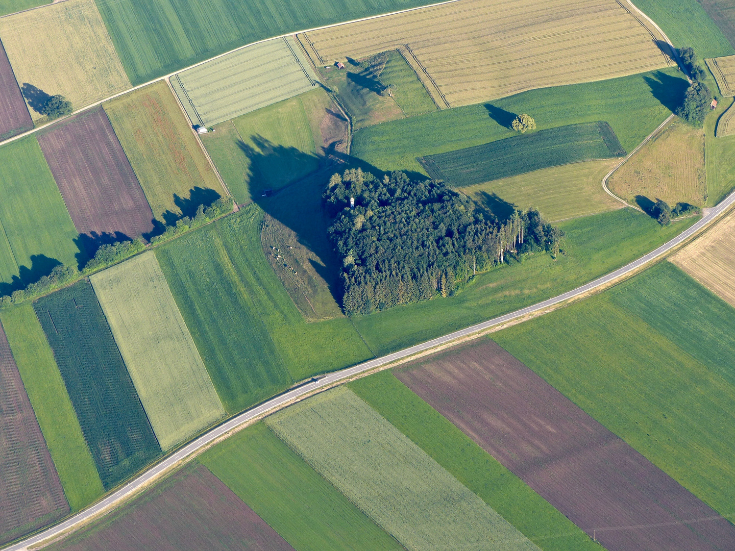 Waldkirchlein von Kühen bewacht