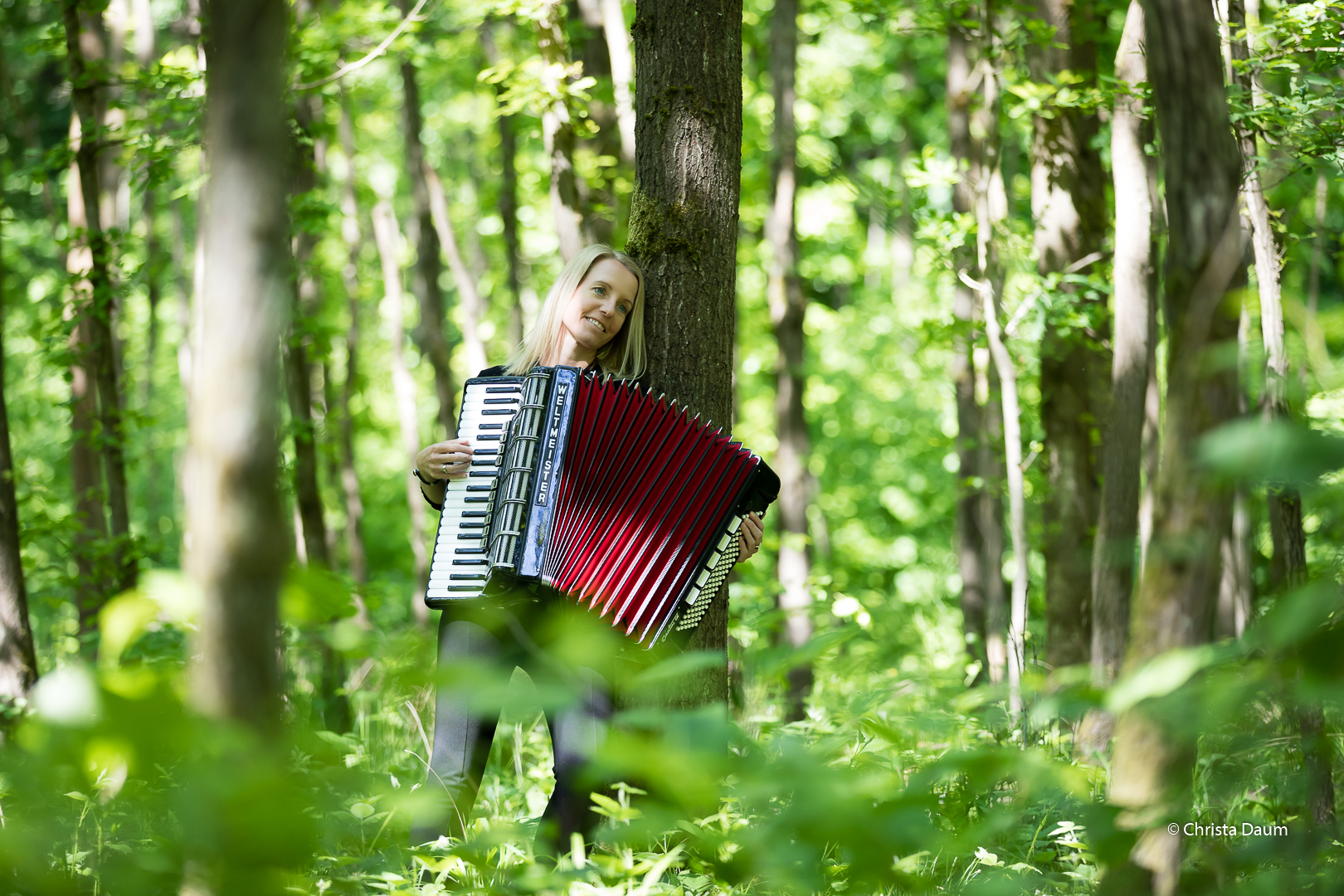 WaldKlänge...