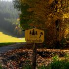 Waldkloster Muttodaya