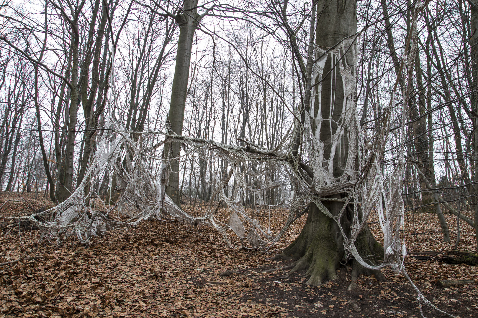 Waldkunst 1