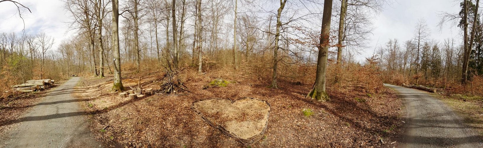 Waldkunst auf dem Weg nach Darmstadt 