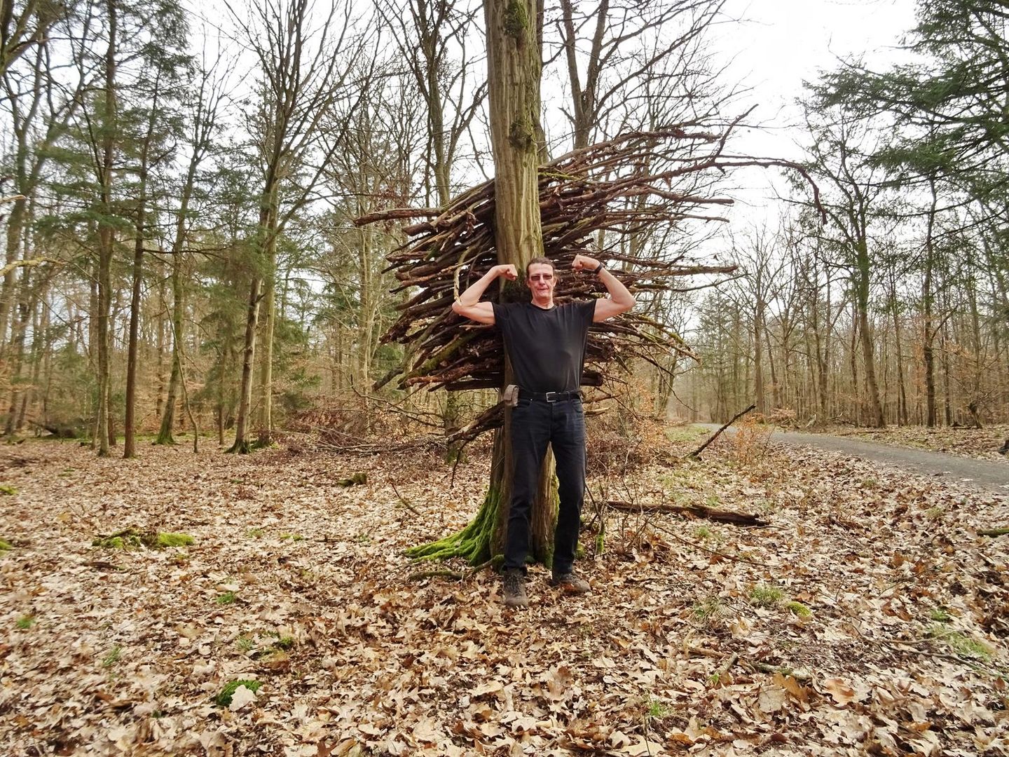 Waldkunst und Wald Künstler