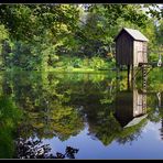 Waldkurpark - schöner als der Name klingt