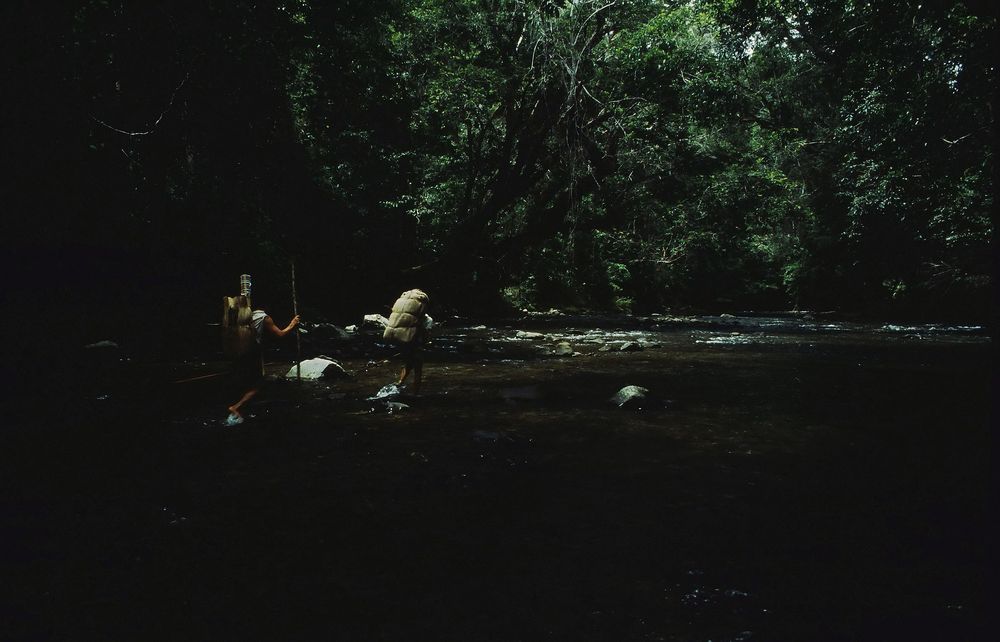 Waldläufer in Ost-Borneo, 1984