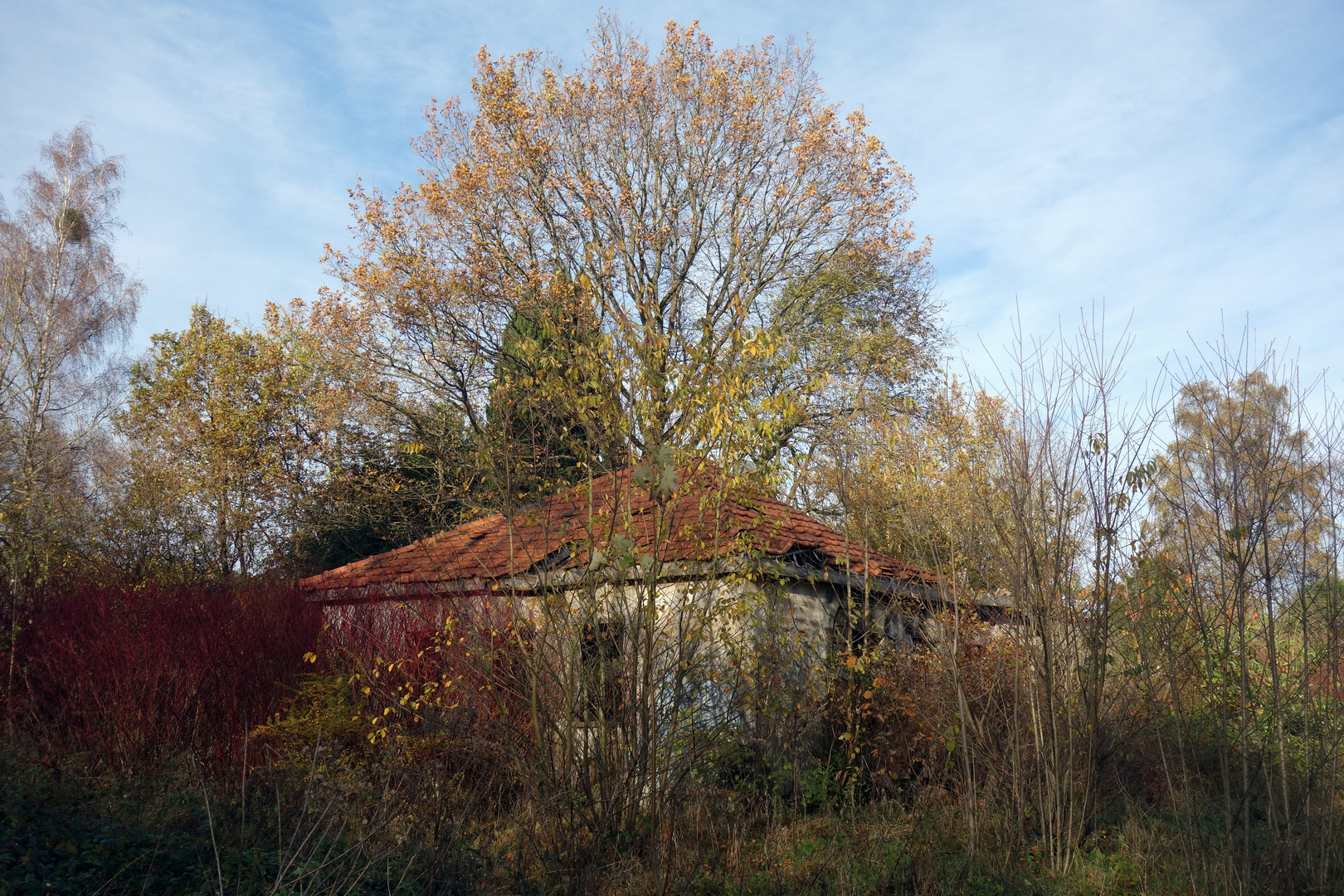 Wald.lage