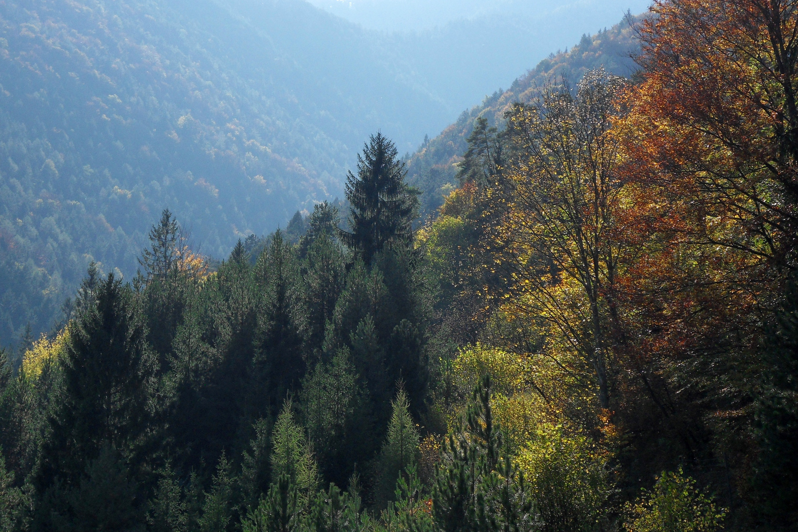 Waldland Niederösterreich...