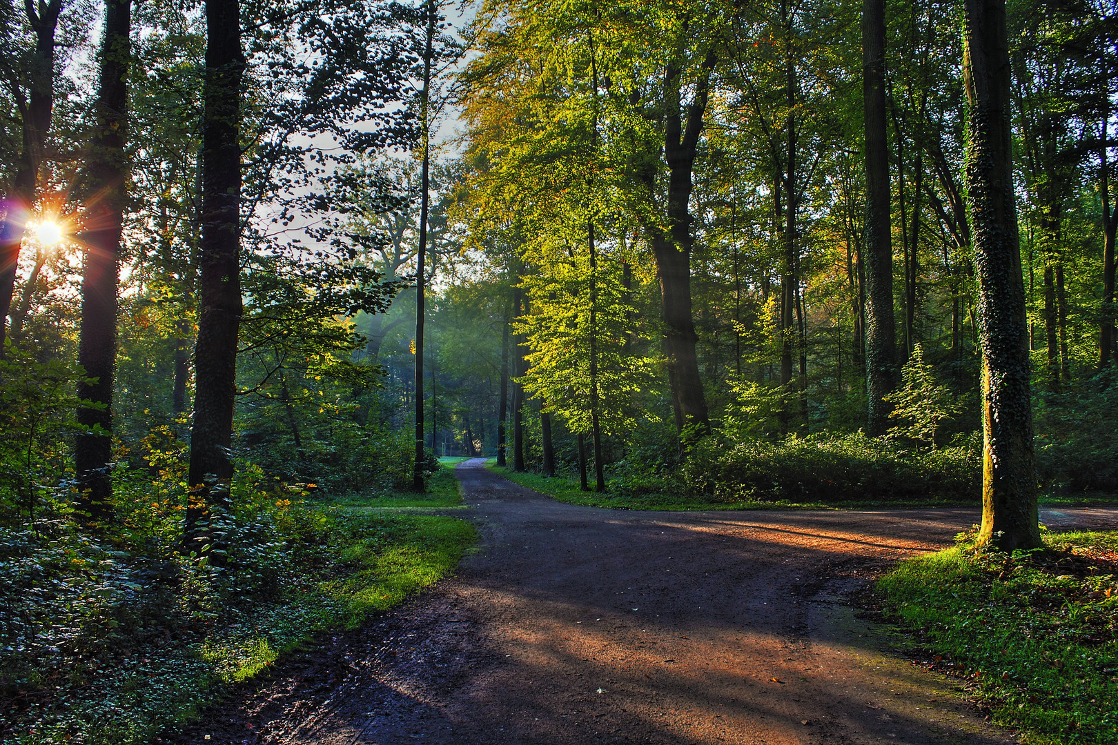 Waldlandschaft