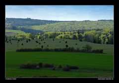 Waldlandschaft hinter dem Tonnenberg • Ostalbkreis, Baden-Württemberg, Deutschland (85-22174)