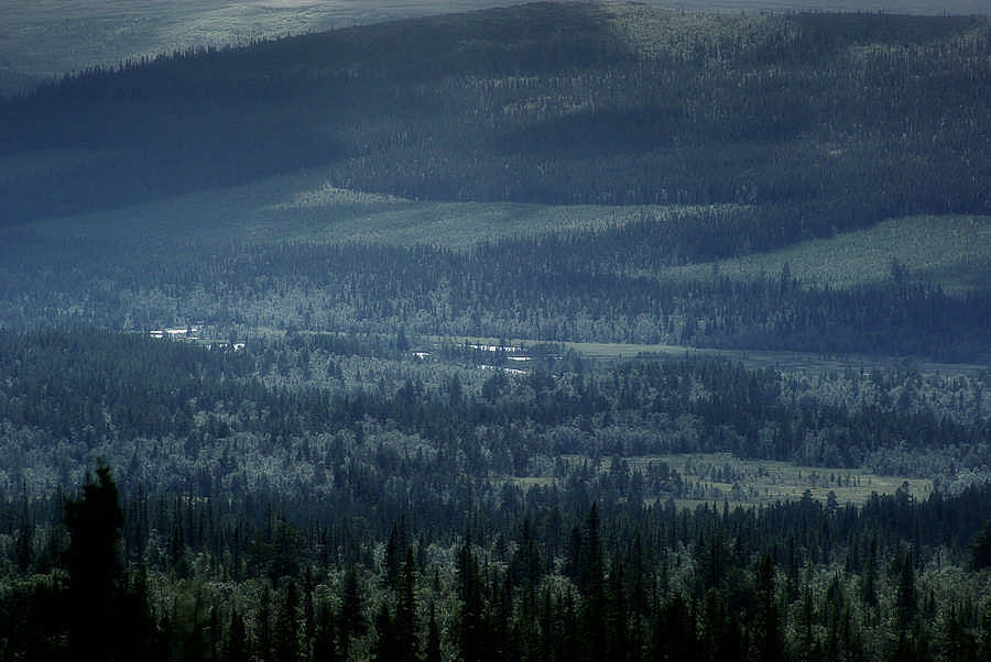 Waldlandschaft in Mittelschweden