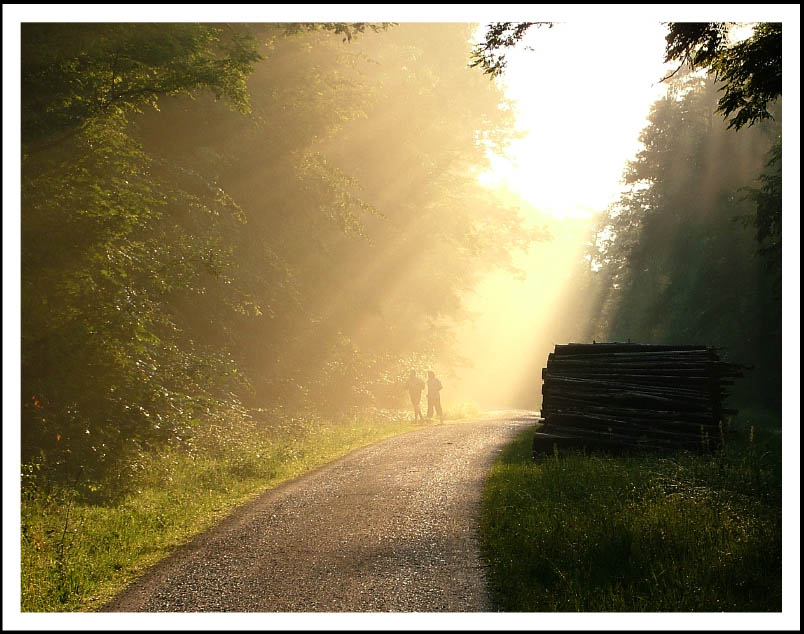 Waldlauf