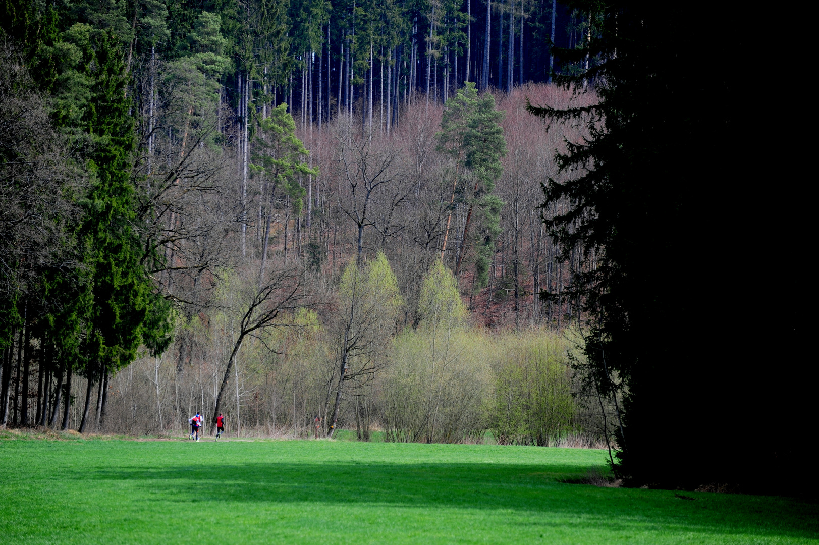 Waldlauf