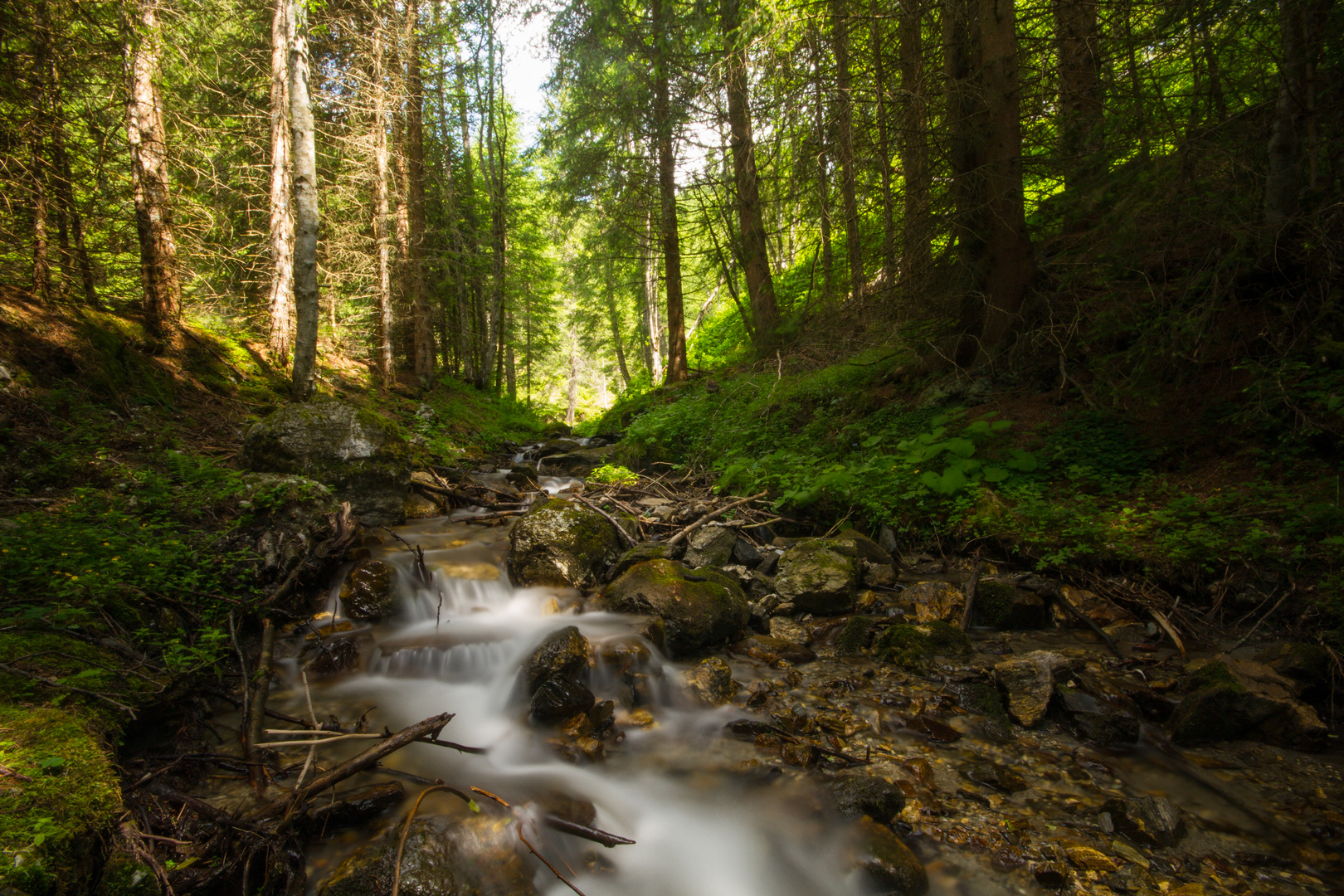 Waldlauf