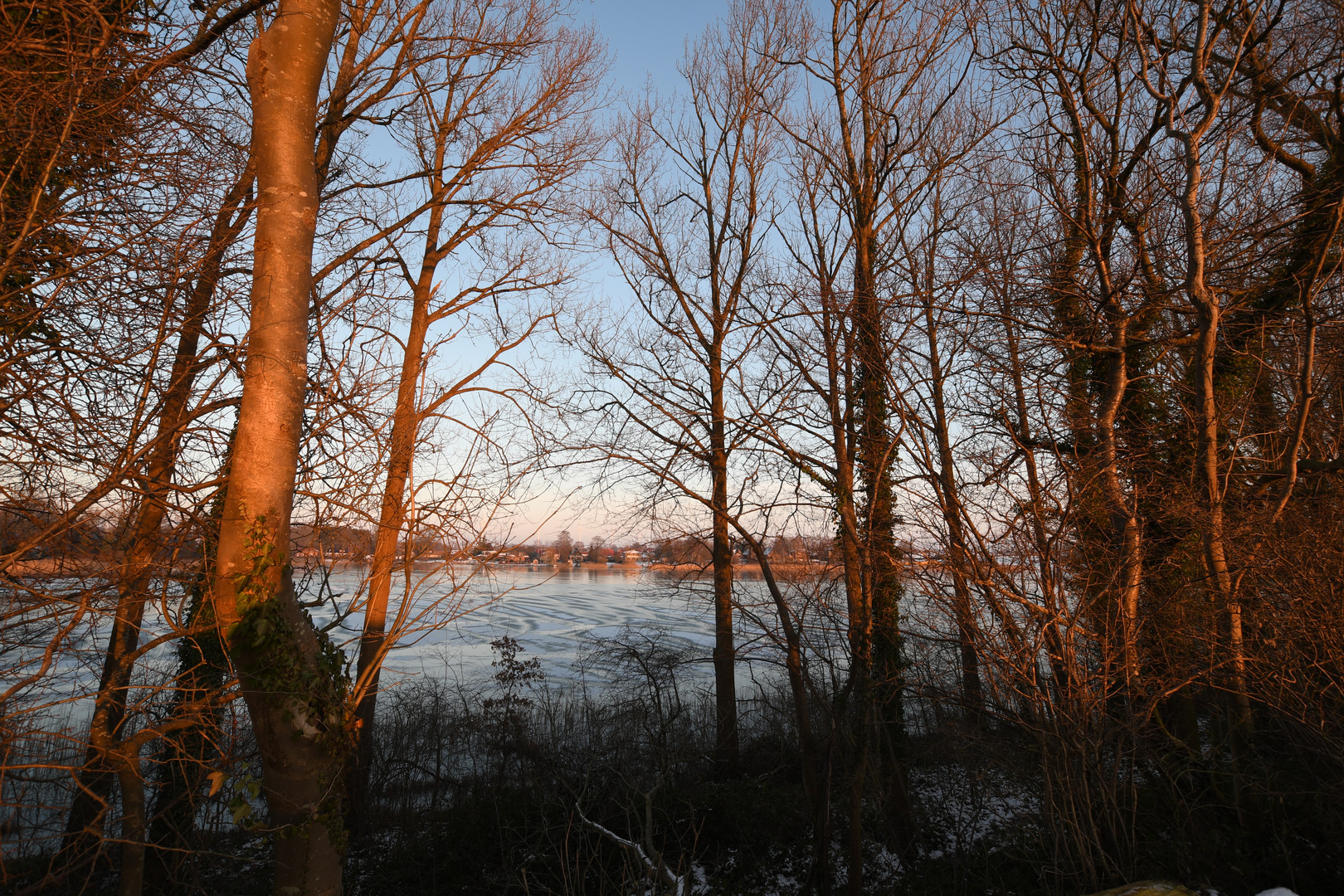 Waldlicht-ung