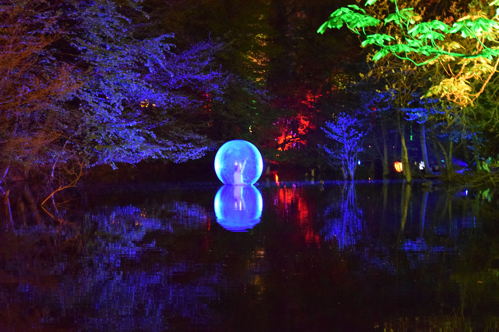 Waldlichter Wildpark Vosswinkel