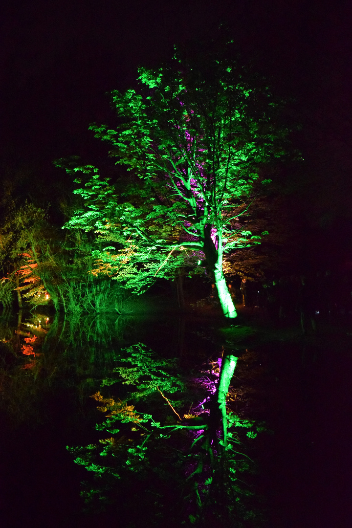 Waldlichter Wildpark Vosswinkel