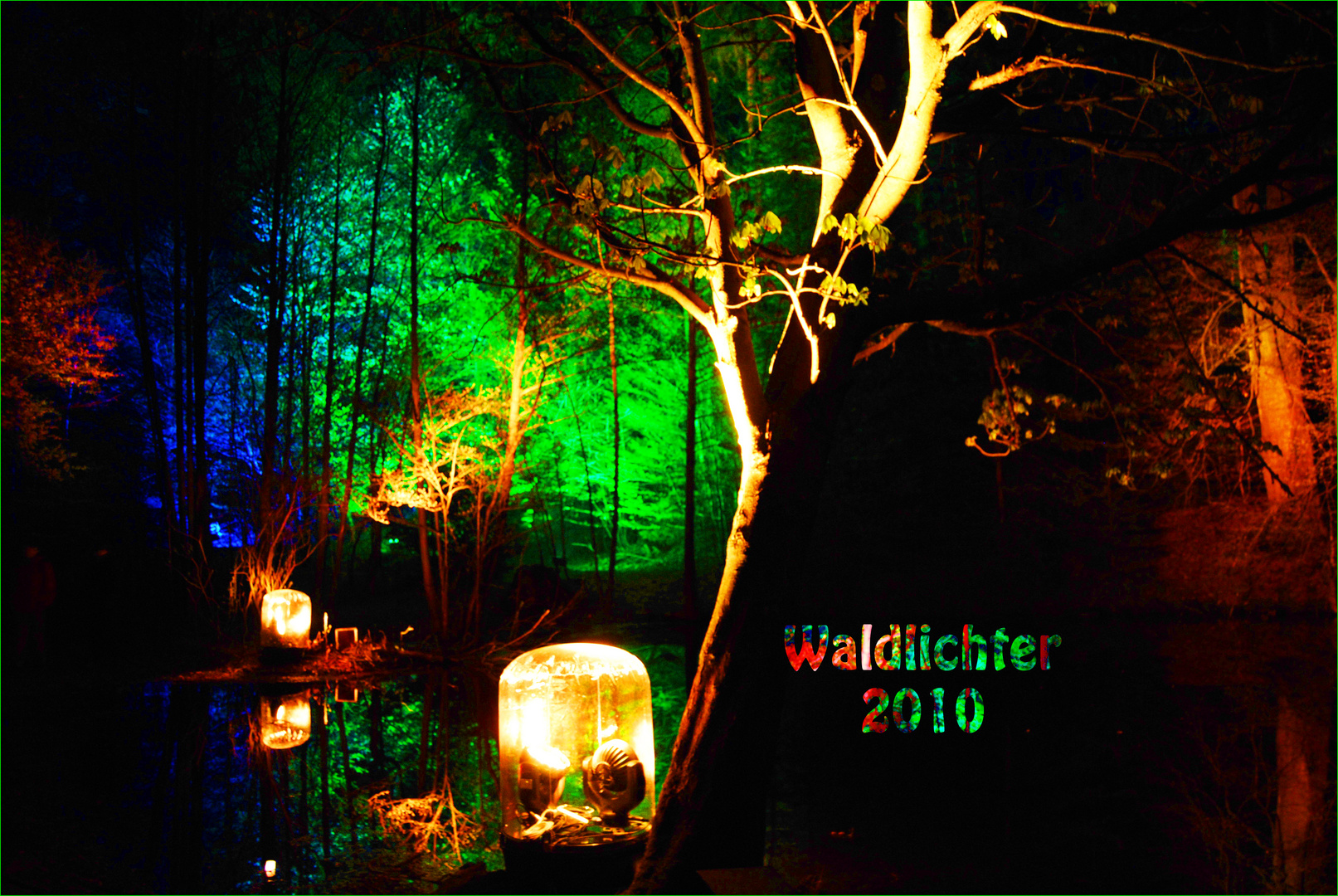 Waldlichter Wildwald Voßwinkel April 2010