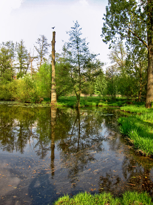 Waldmannsweiher