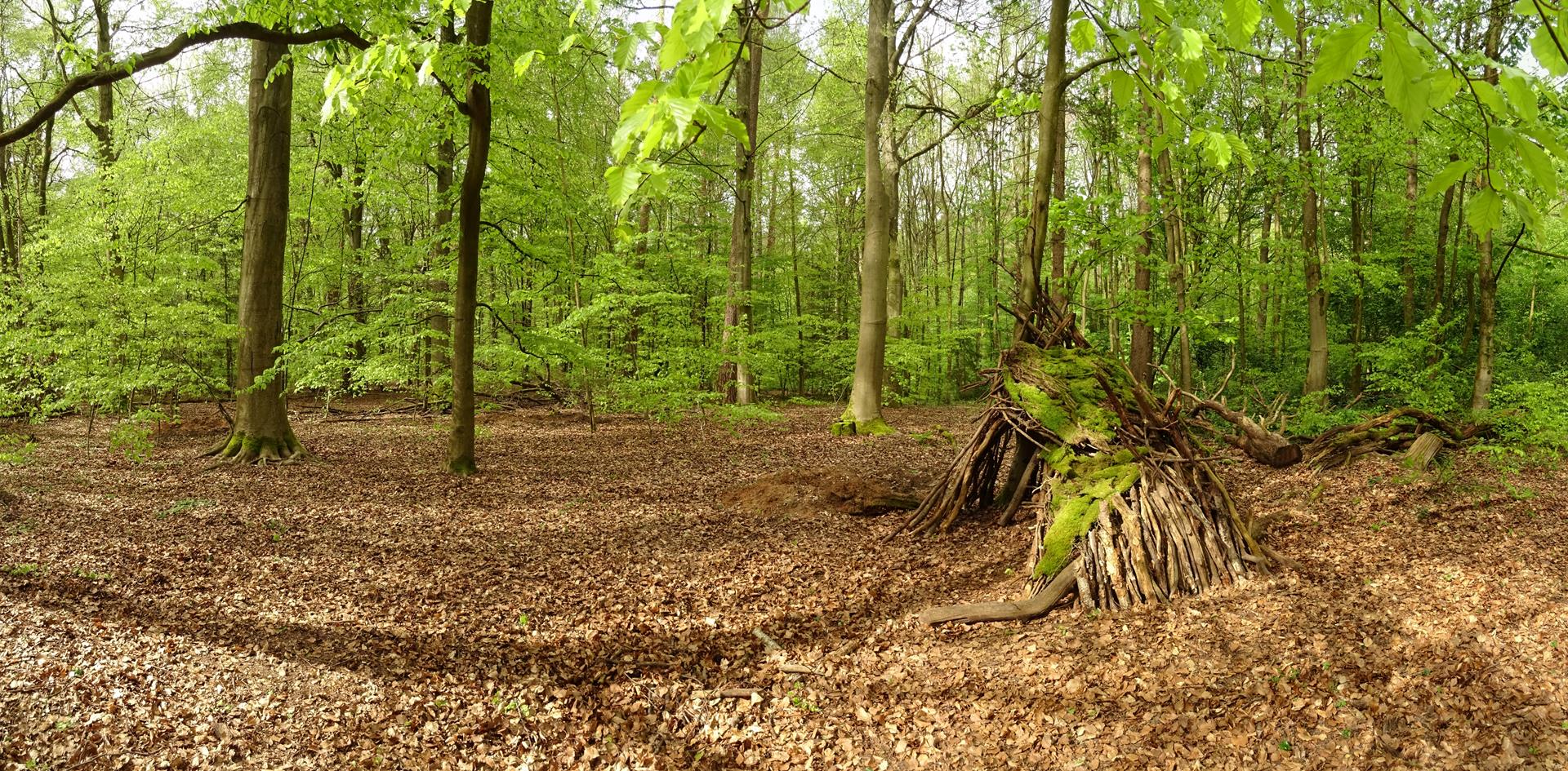 Waldmenschen Hütte 