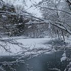 Waldmotive, hier: Blick auf den Lasbachweiher