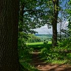 Waldmotive, hier: Blick in die Frühlingslandschaft