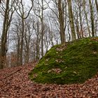 Waldmotive, hier: der grüne Felsbrocken