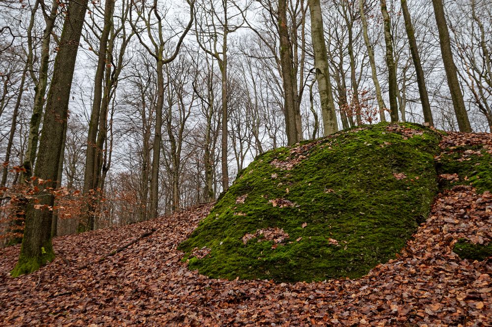 Waldmotive, hier: der grüne Felsbrocken