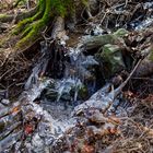 Waldmotive, hier: Eiskristalle im Waldbach