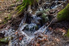 Waldmotive, hier: Eiskristalle im Waldbach