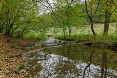 Waldmotive, hier: Frühherbst am Lautenbach (3)