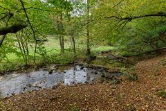 Waldmotive, hier: Frühherbst am Lautenbach