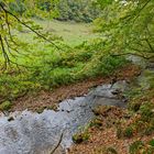 Waldmotive, hier: Frühherbst am Lautenbach (9)