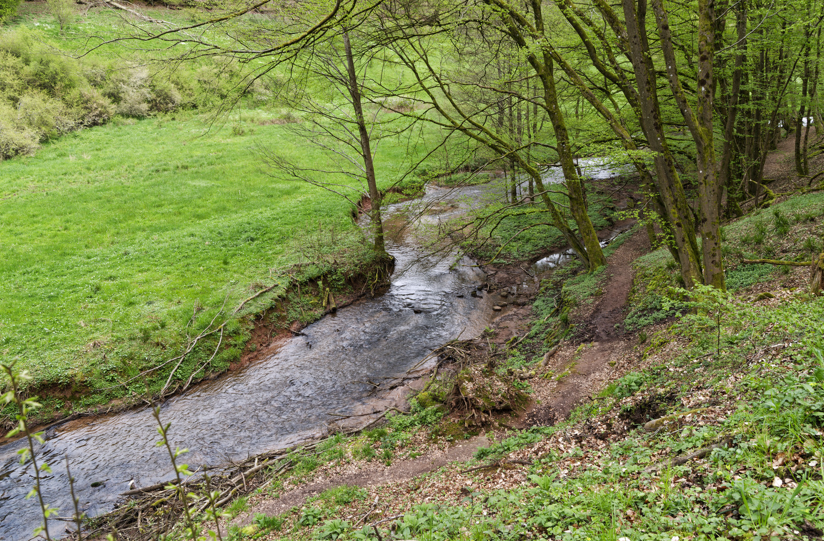 Waldmotive, hier: Frühlingserwachen am Lautenbach (8)