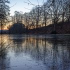 Waldmotive, hier: Morgenstimmung am Lasbachweiher