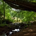 Waldmotive, hier: Sommer am Lautenbach (2)