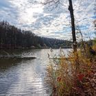 Waldmotive, hier: Spätherbst am Waldteich