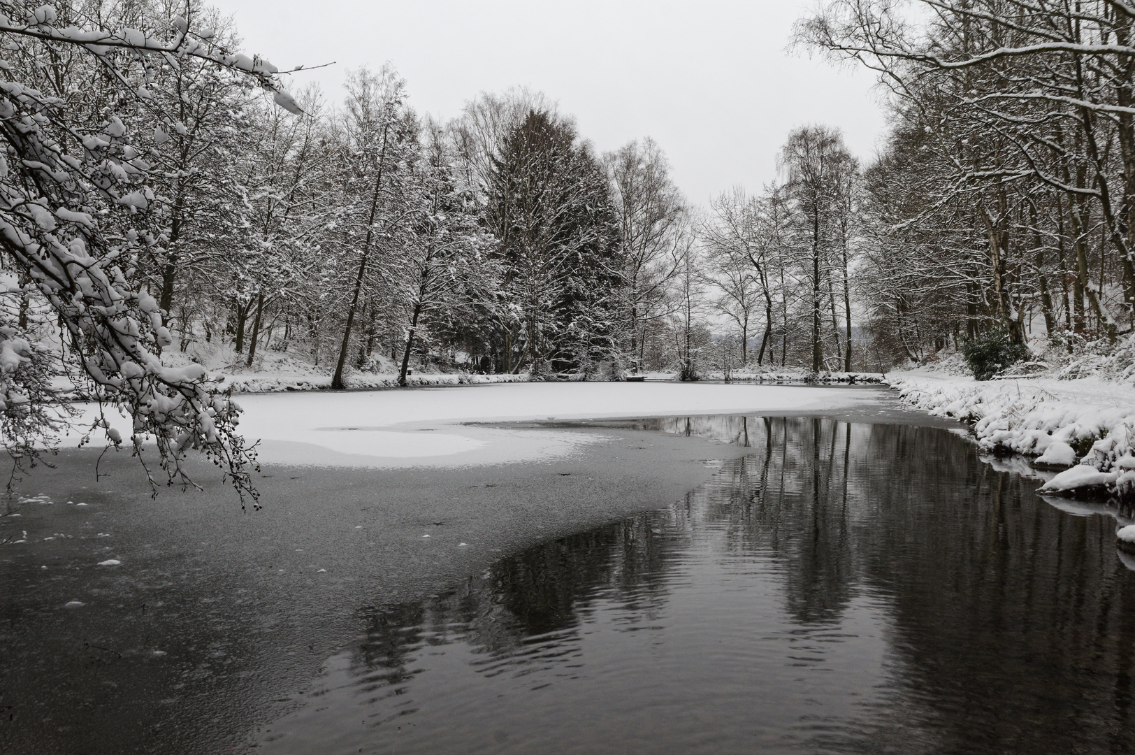 Waldmotive, hier: Winter am Lasbachweiher