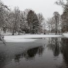 Waldmotive, hier: Winter am Lasbachweiher