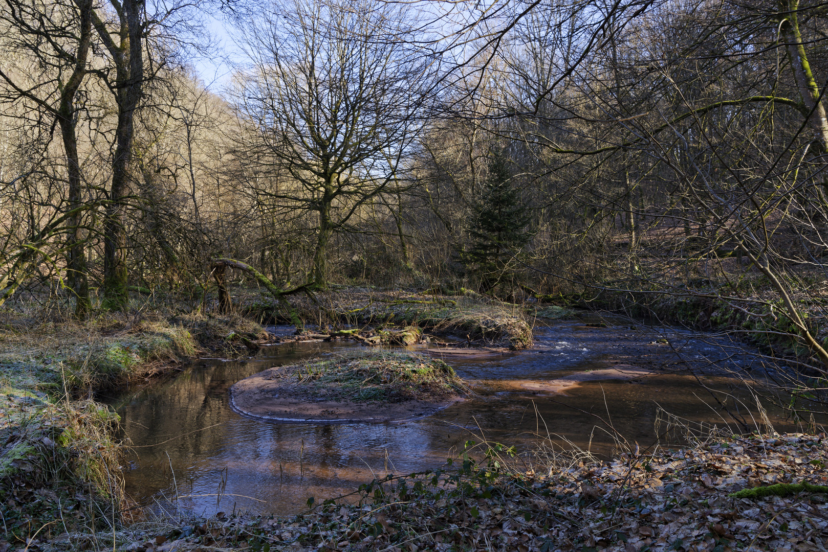 Waldmotive, hier: Winterimpressionen am Lautenbach (10)