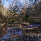 Waldmotive, hier: Winterimpressionen am Lautenbach (10)