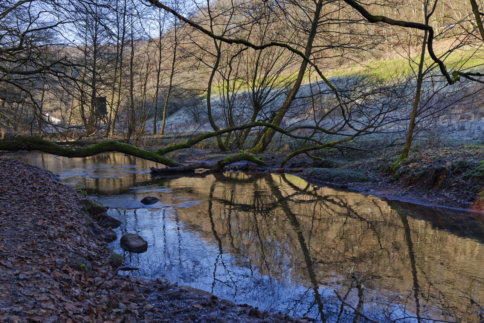 Waldmotive, hier: Winterimpressionen am Lautenbach (12)