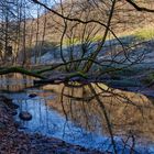 Waldmotive, hier: Winterimpressionen am Lautenbach (12)