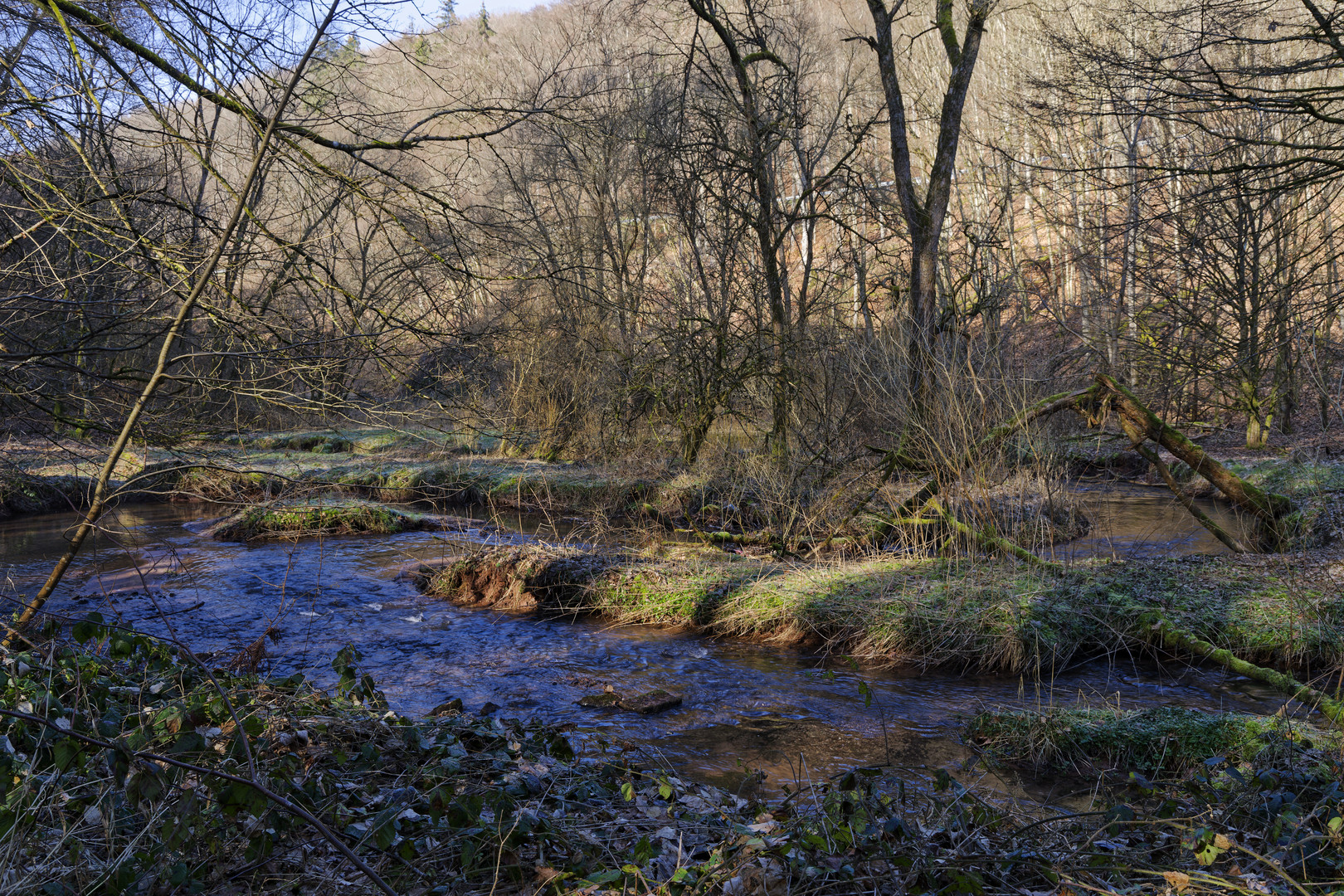 Waldmotive, hier: Winterimpressionen am Lautenbach (13)