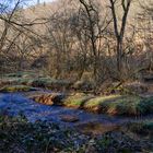 Waldmotive, hier: Winterimpressionen am Lautenbach (13)