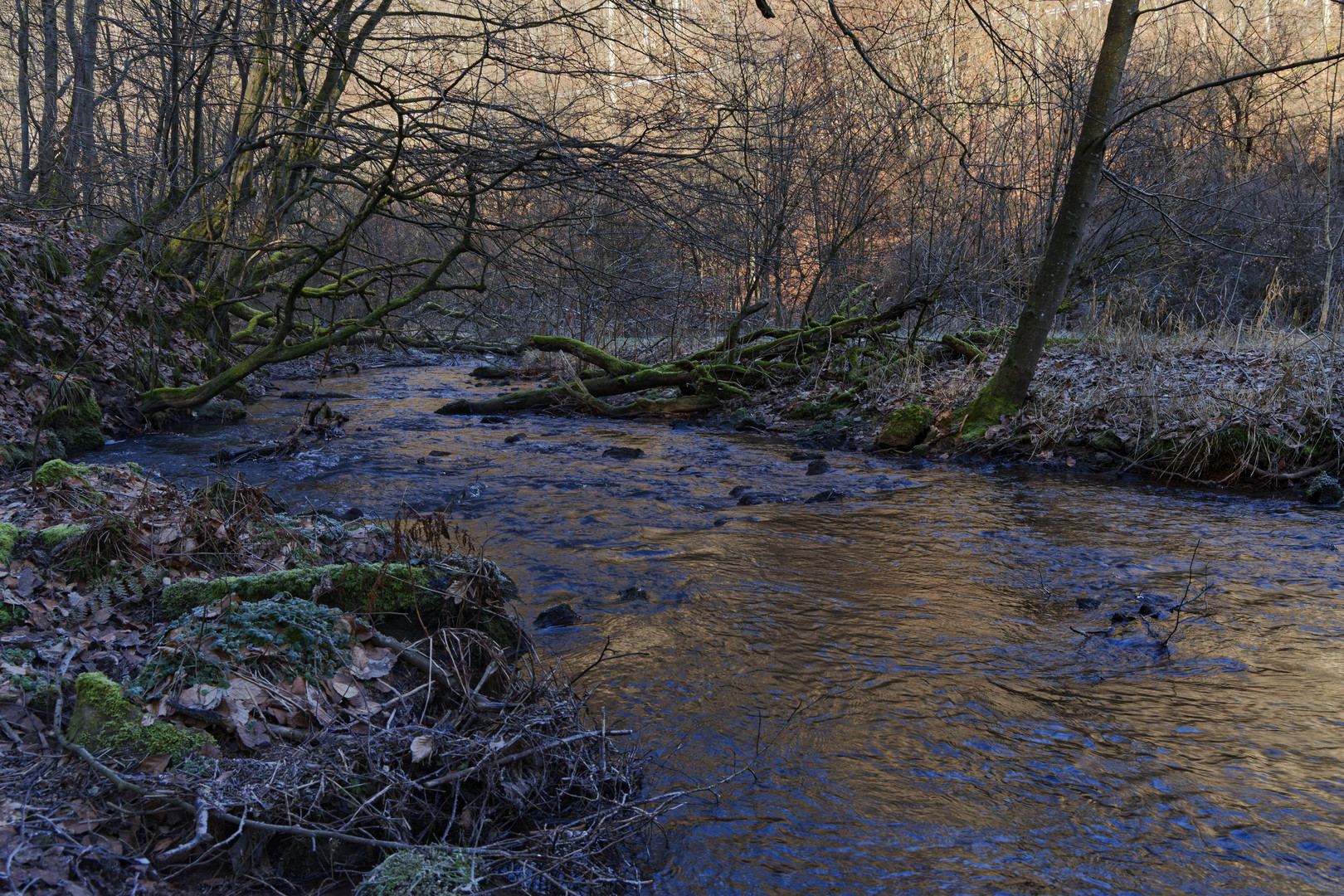 Waldmotive, hier: Winterimpressionen am Lautenbach (15)