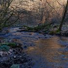 Waldmotive, hier: Winterimpressionen am Lautenbach (15)