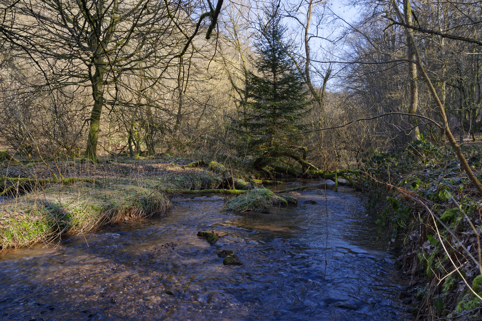 Waldmotive, hier: Winterimpressionen am Lautenbach (16)