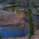 Waldmotive, hier: Winterimpressionen am Lautenbach (17)